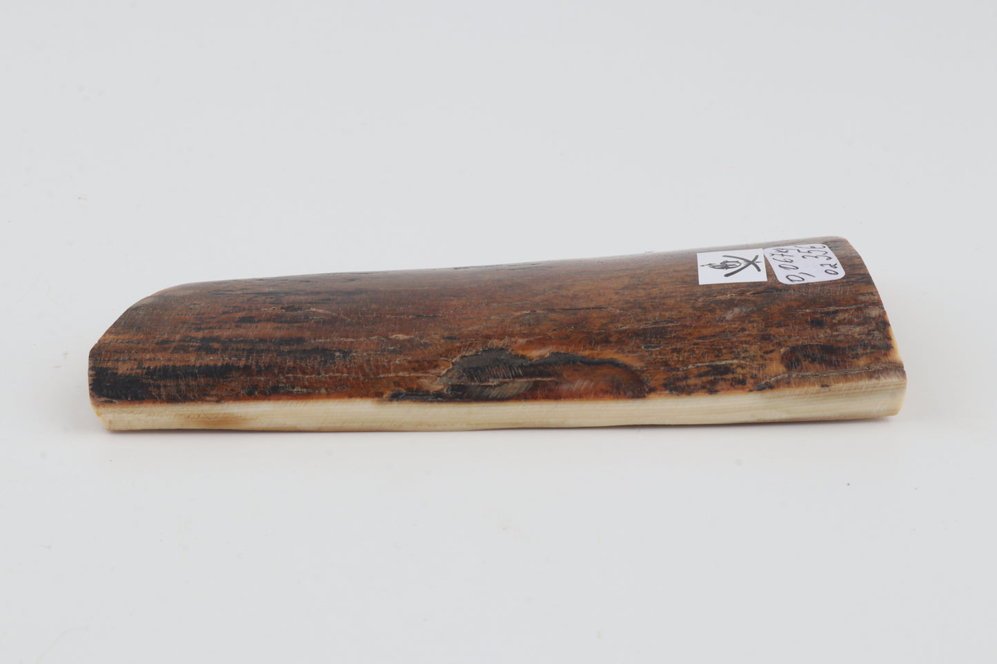 Brown-caramel mammoth bark