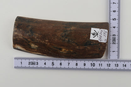 Brown mammoth bark