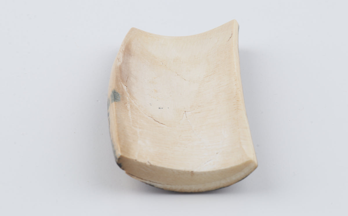 Brown mammoth bark
