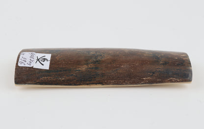 Brown mammoth bark