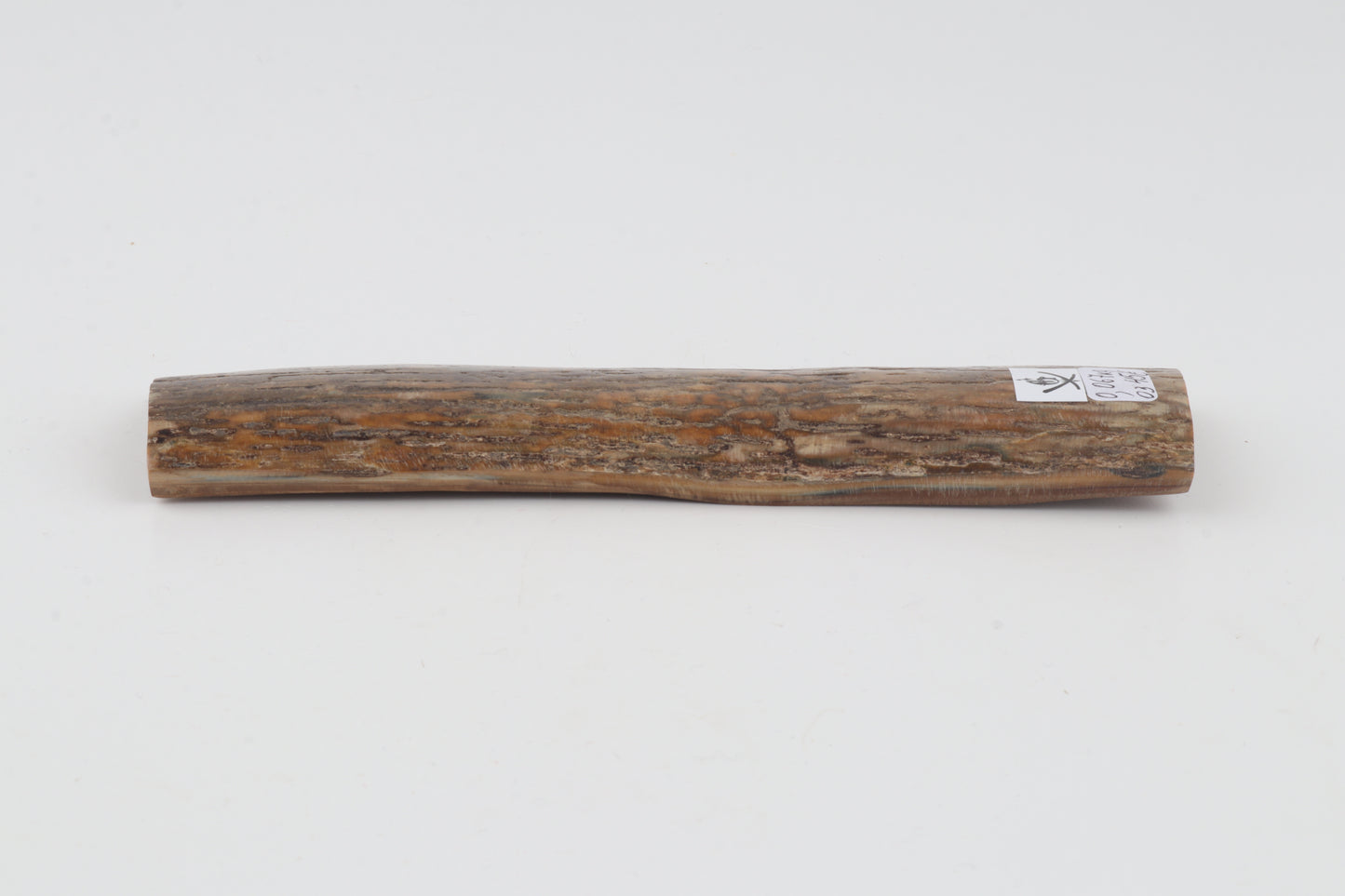 Beige mammoth bark