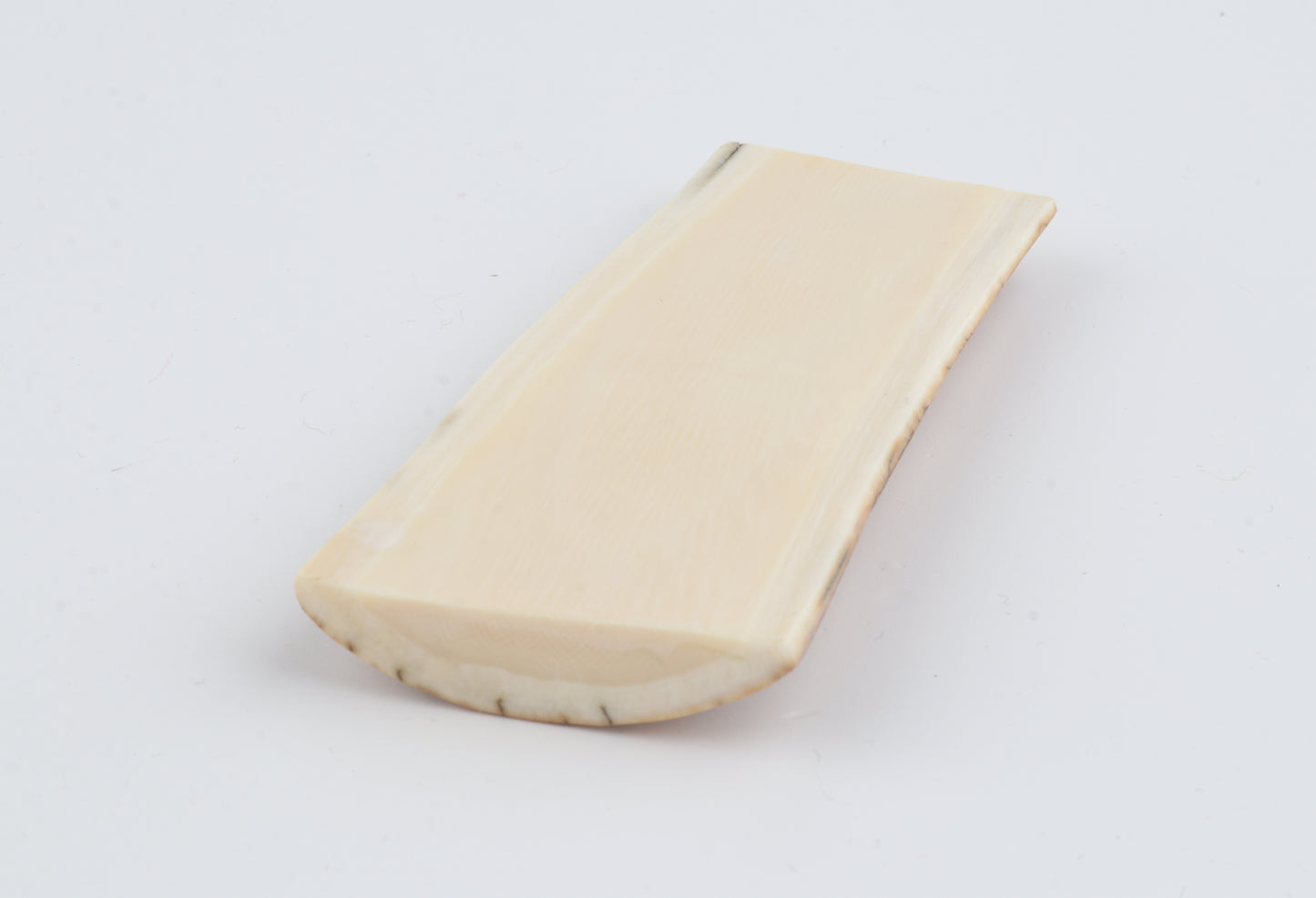 Creme-yellow mammoth bark