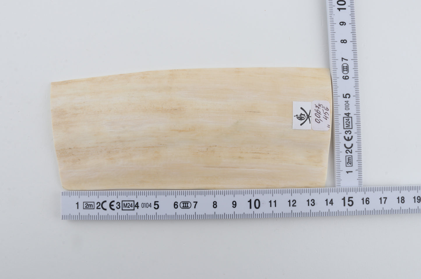 Natural mammoth ivory piece