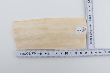 Natural mammoth ivory piece