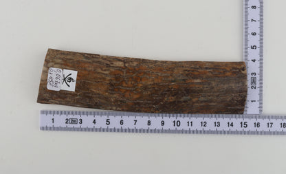 Beige mammoth bark