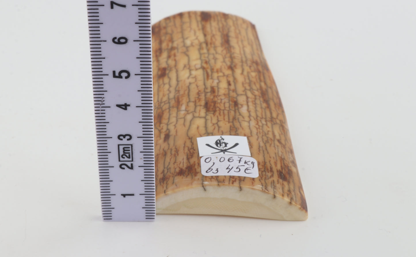 Creme-yellow mammoth bark