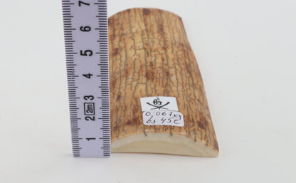 Creme-yellow mammoth bark