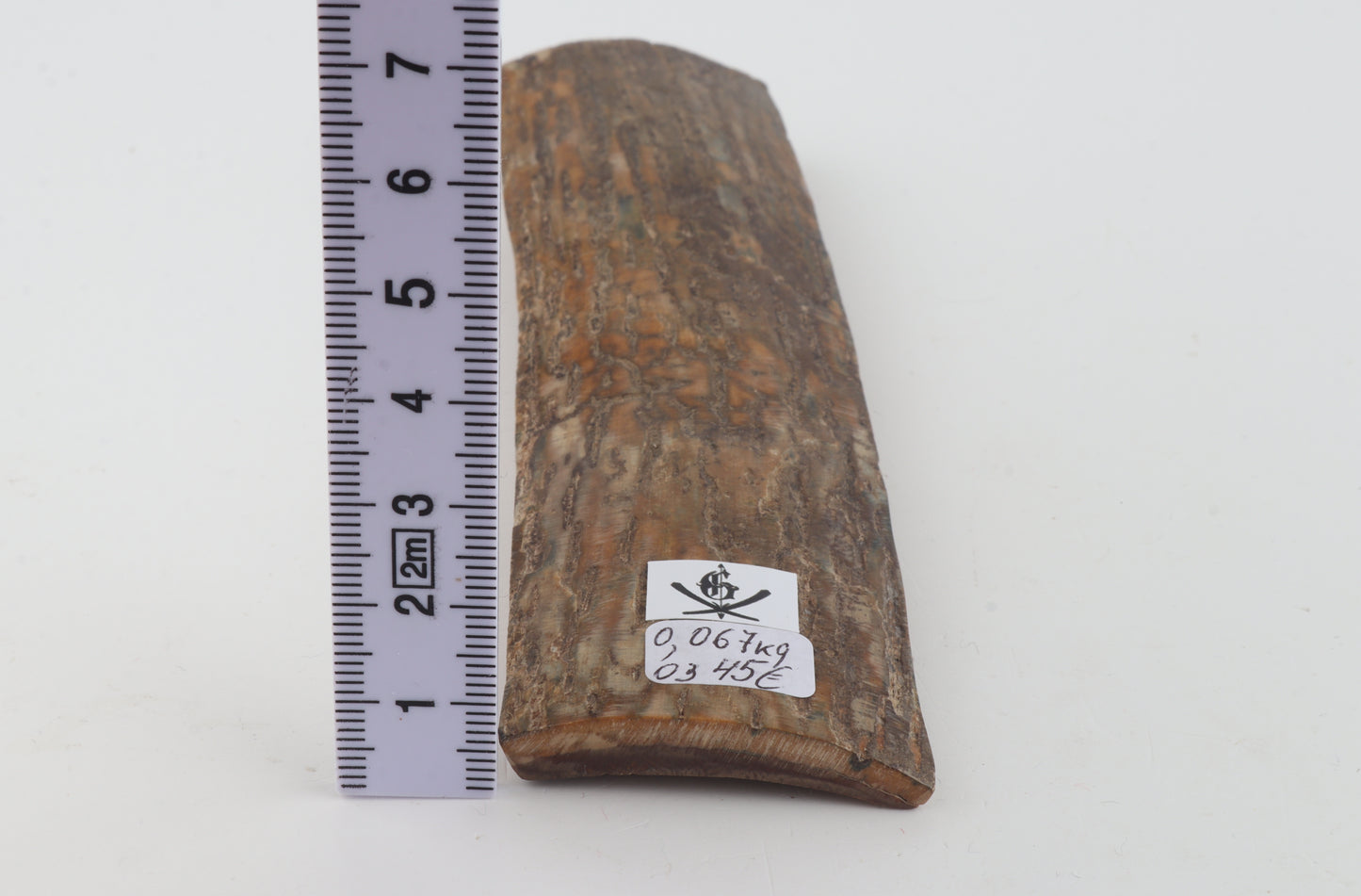 Beige mammoth bark