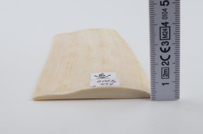 Natural mammoth ivory piece