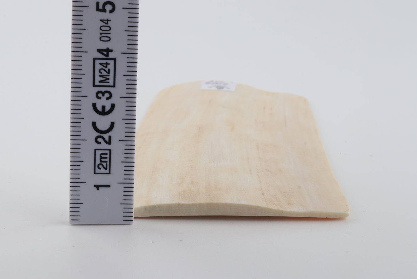 Natural mammoth ivory piece