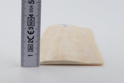 Natural mammoth ivory piece