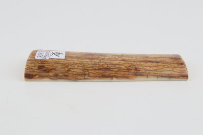 Creme-yellow mammoth bark