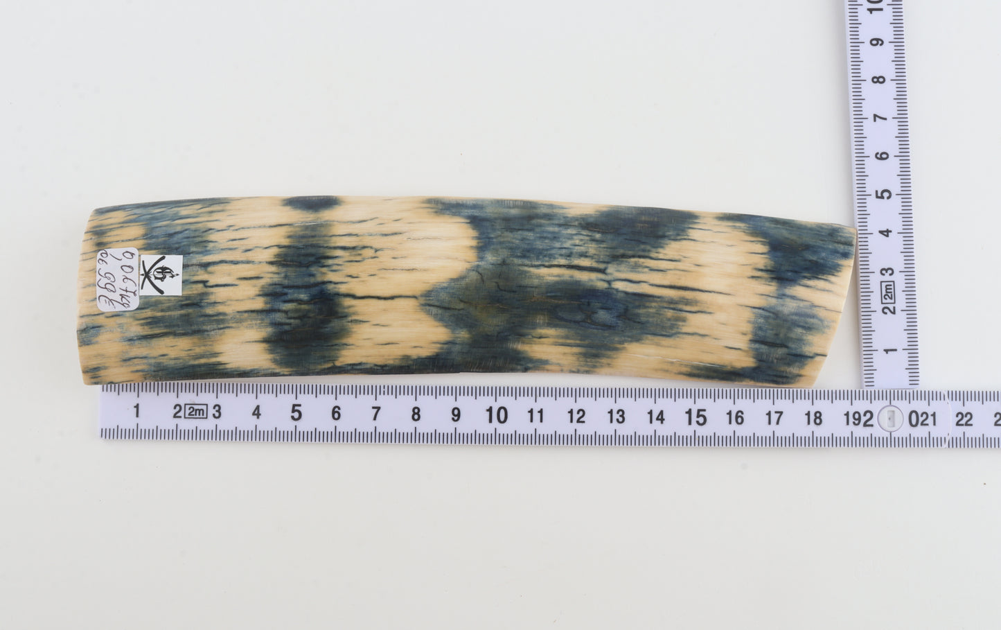 Blue-white mammoth bark
