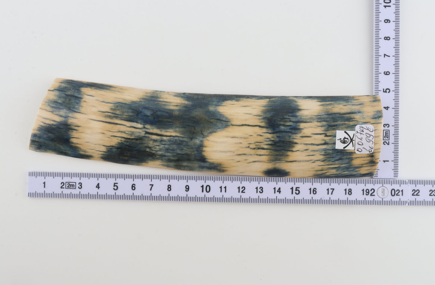Blue-white mammoth bark