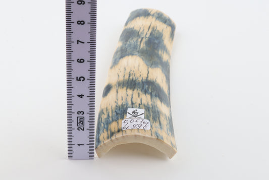 Blue-white mammoth bark