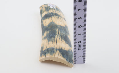 Blue-white mammoth bark