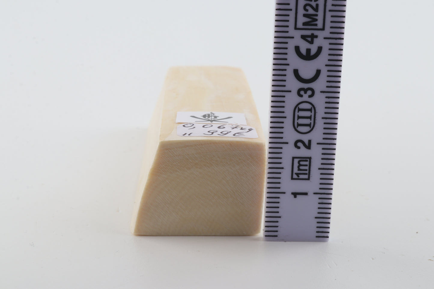 White mammoth ivory segment