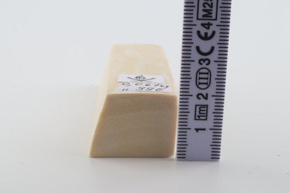 White mammoth ivory segment