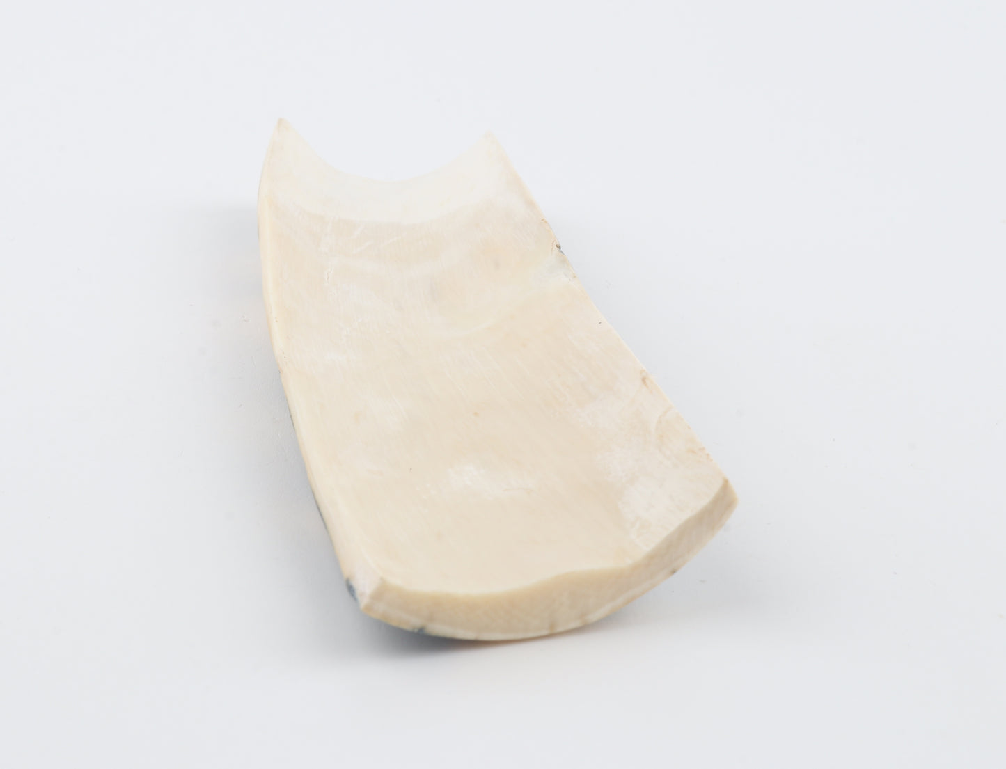 Blue-white mammoth bark