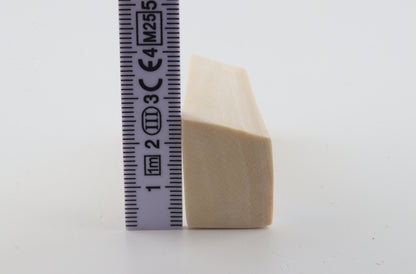White mammoth ivory segment
