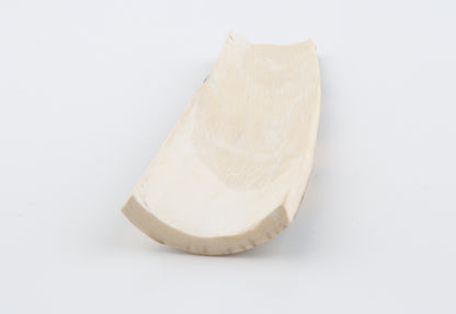 Blue-white mammoth bark