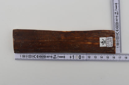 Brown mammoth bark
