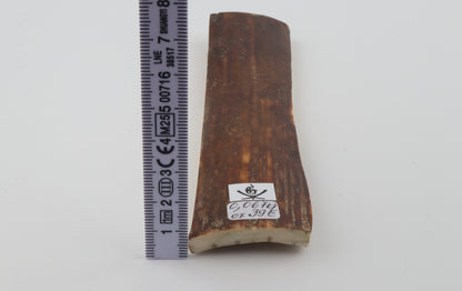 Brown mammoth bark