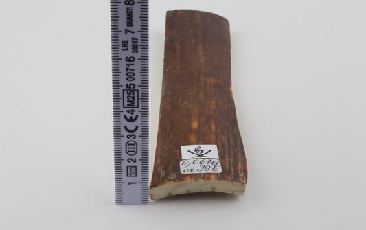 Brown mammoth bark