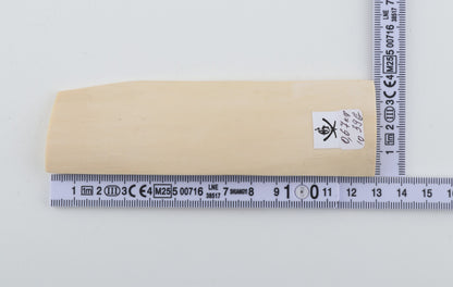 White mammoth ivory piece