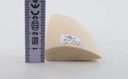 White mammoth ivory piece