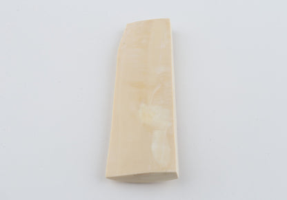 White mammoth ivory piece