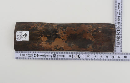 Brown mammoth bark
