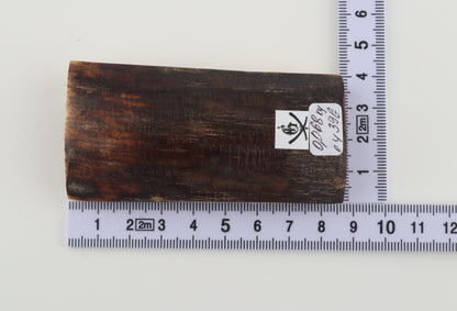 Brown mammoth bark