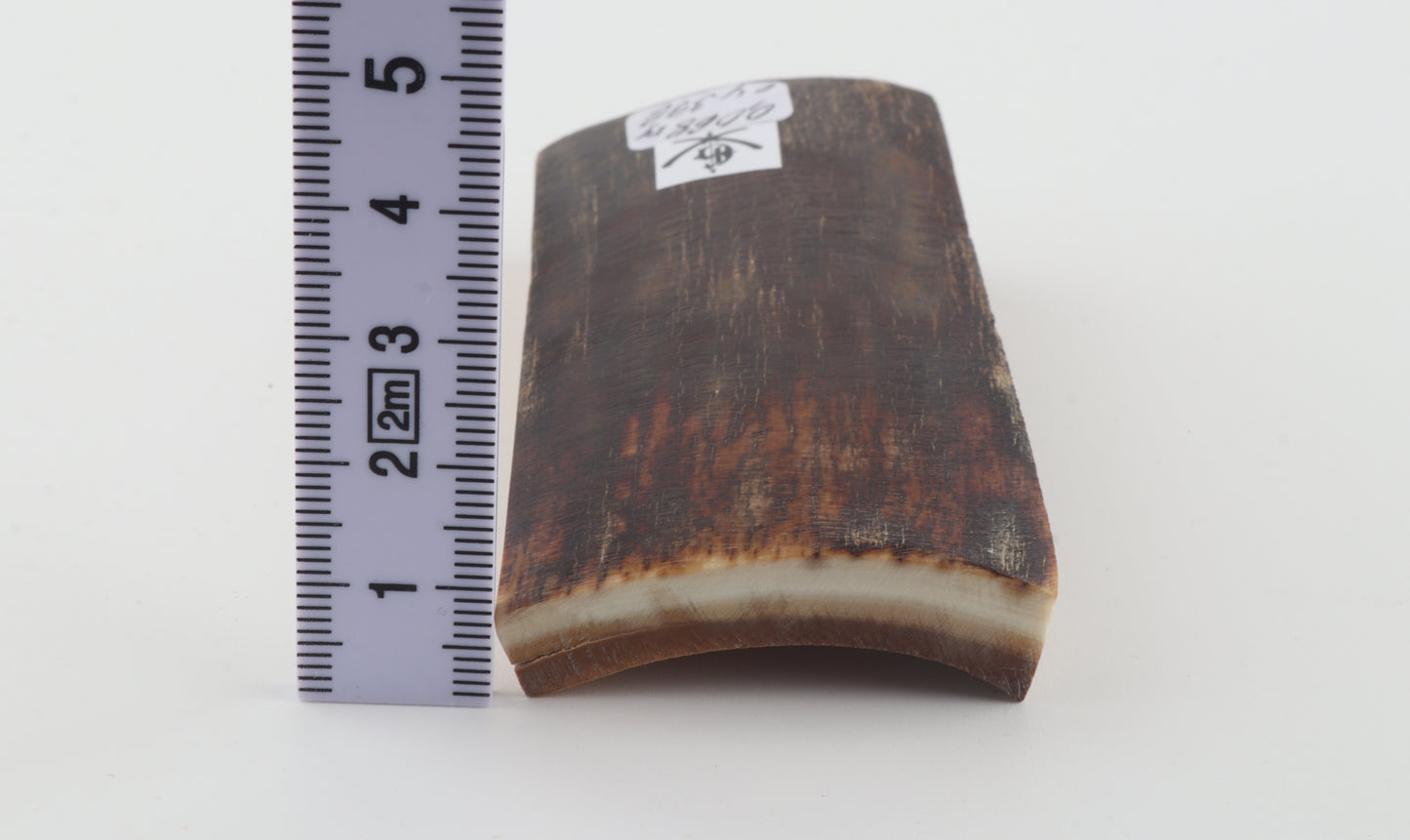 Brown mammoth bark