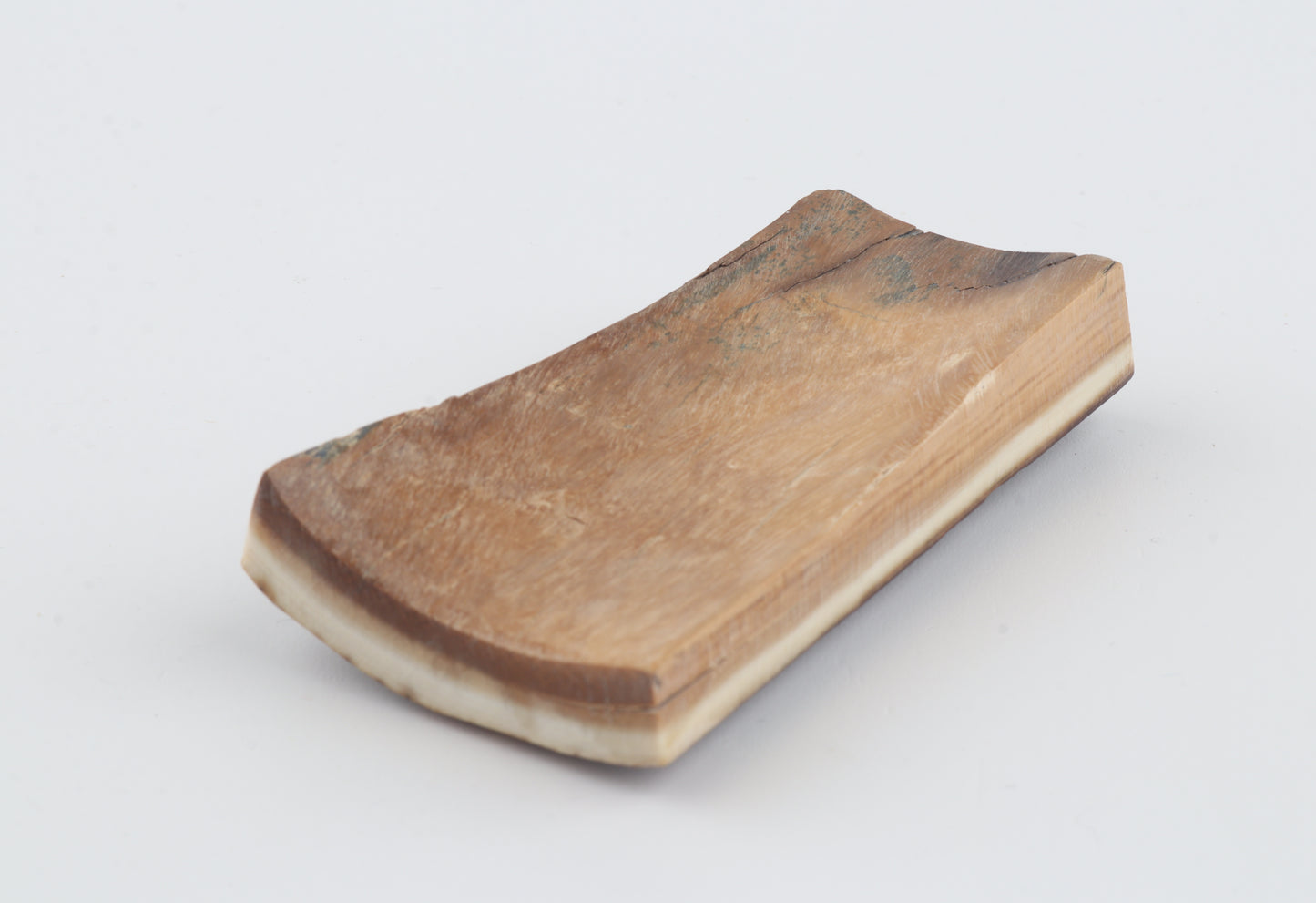 Brown mammoth bark
