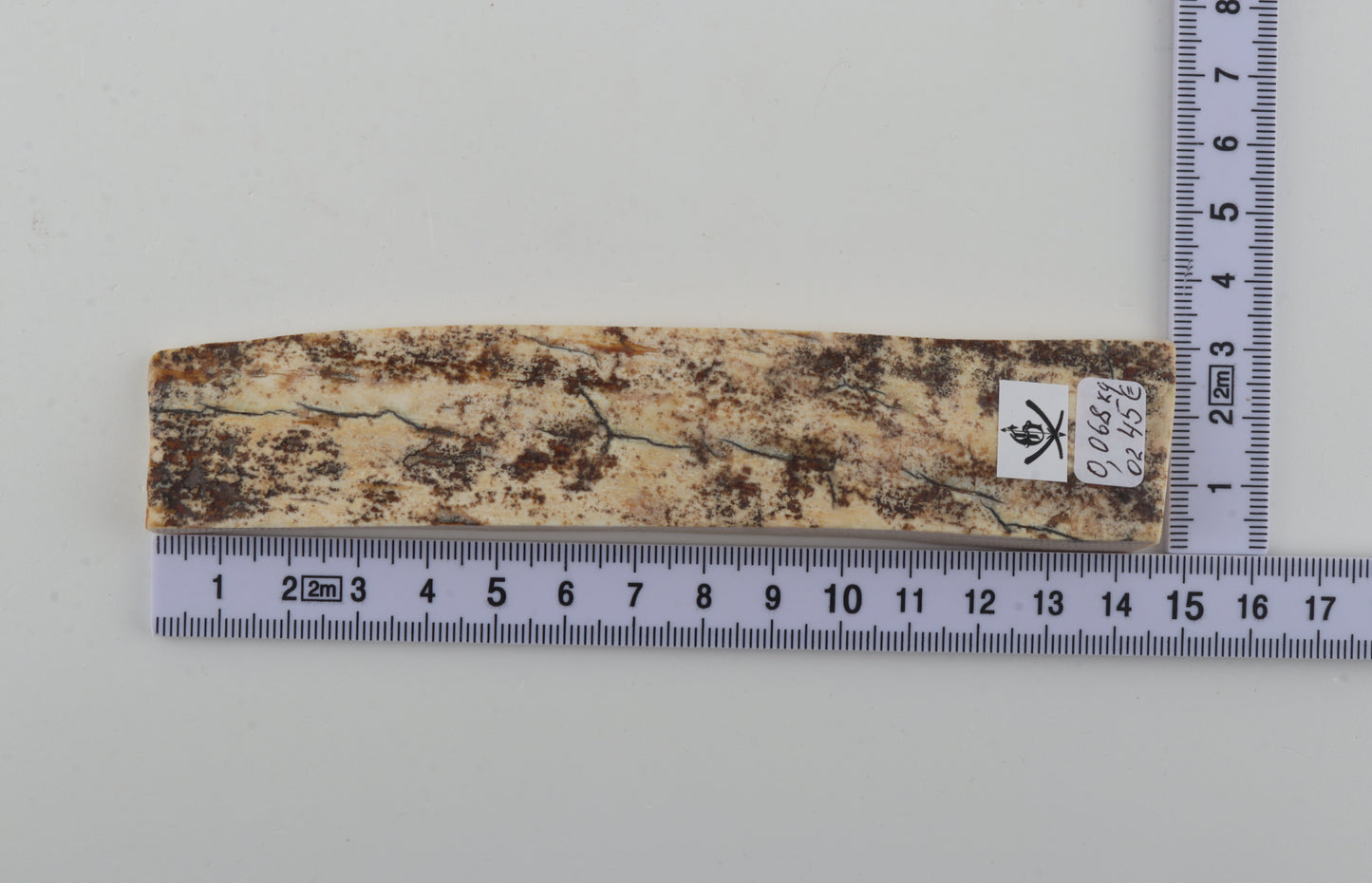 White-brown mammoth bark