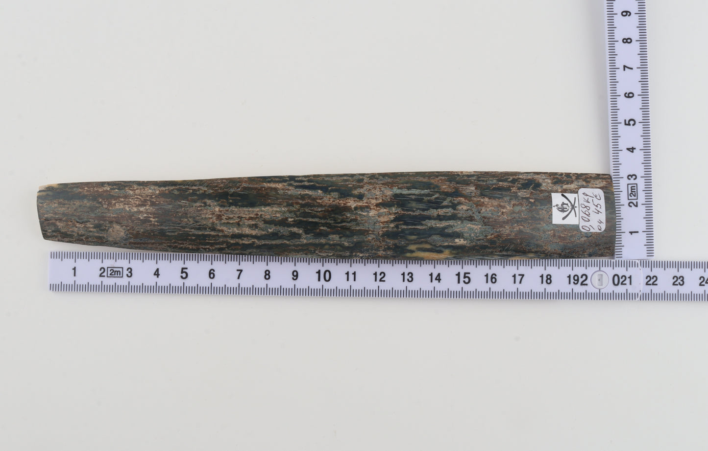Blue mammoth bark