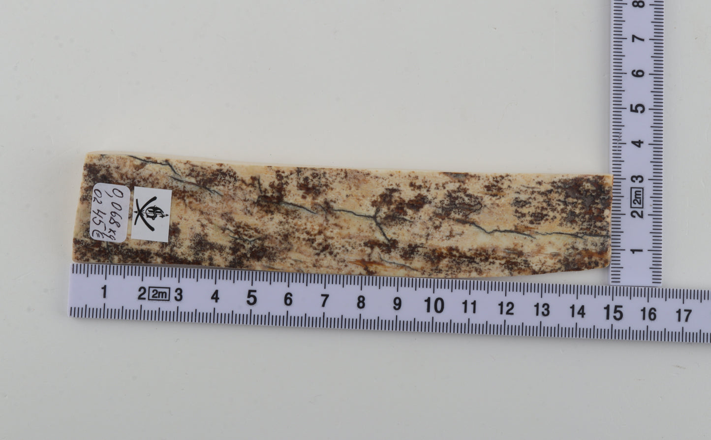 White-brown mammoth bark