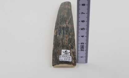 Blue mammoth bark