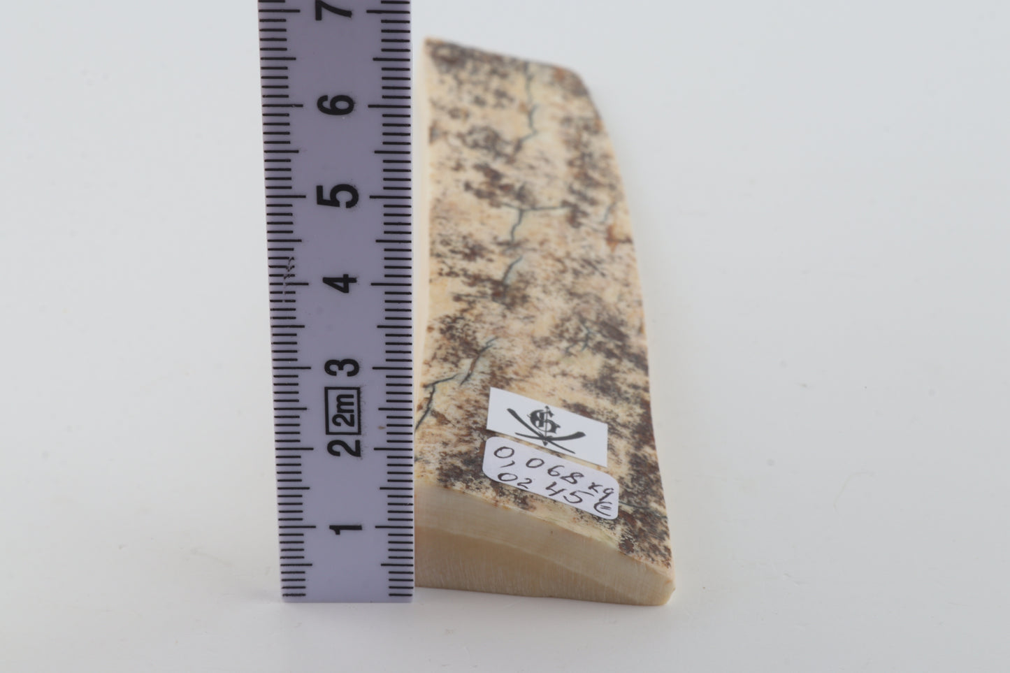 White-brown mammoth bark