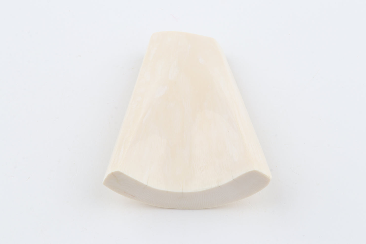 White mammoth ivory segment