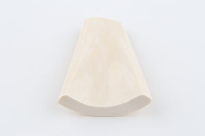 White mammoth ivory segment