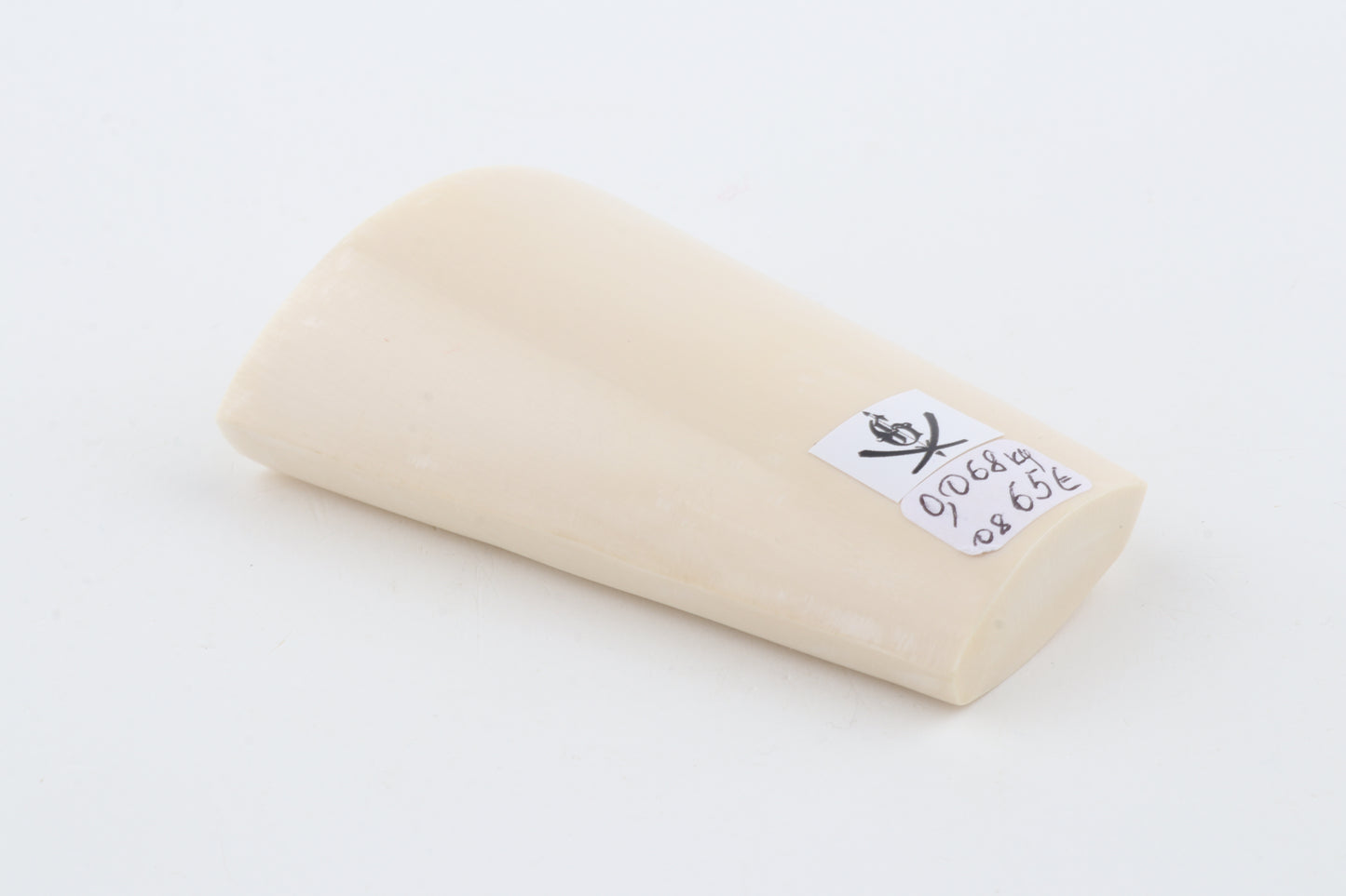 White mammoth ivory segment