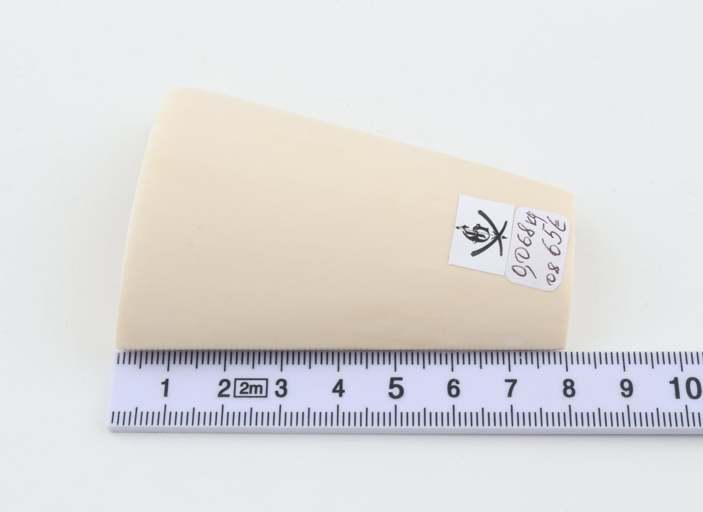 White mammoth ivory segment