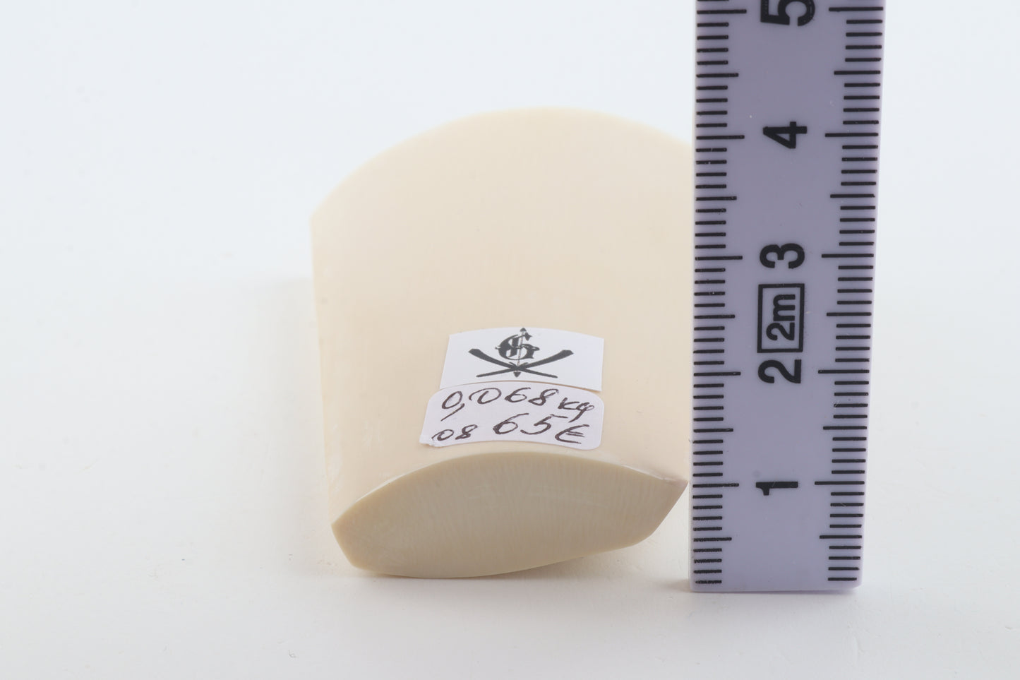 White mammoth ivory segment