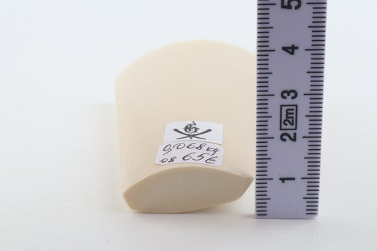 White mammoth ivory segment