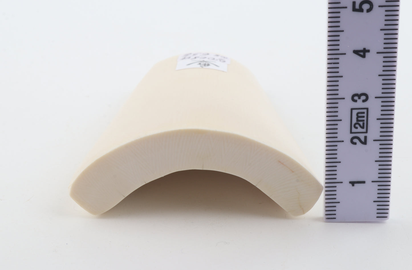 White mammoth ivory segment