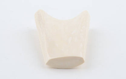 White mammoth ivory segment