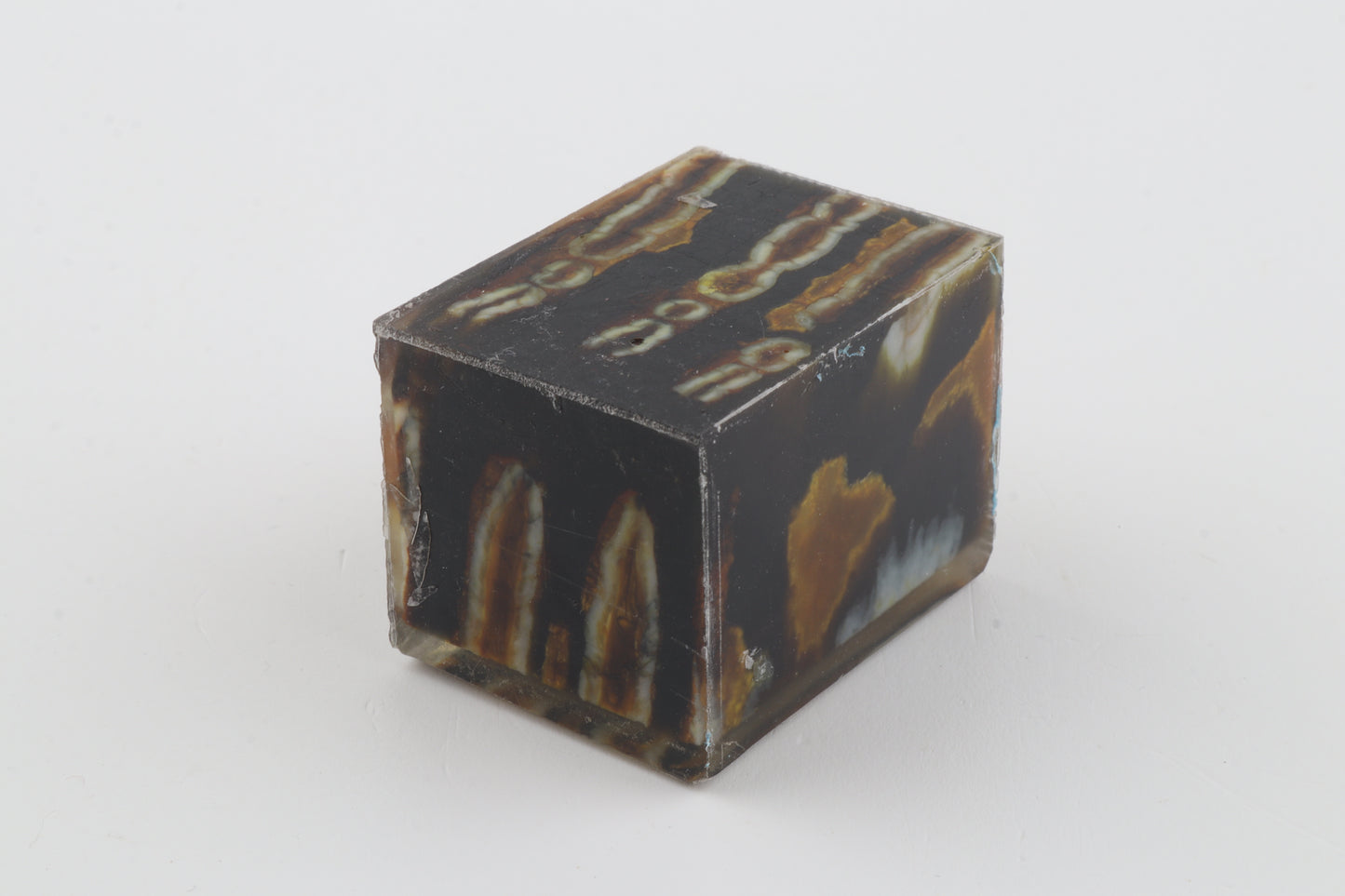 Stabilised mammoth molar piece