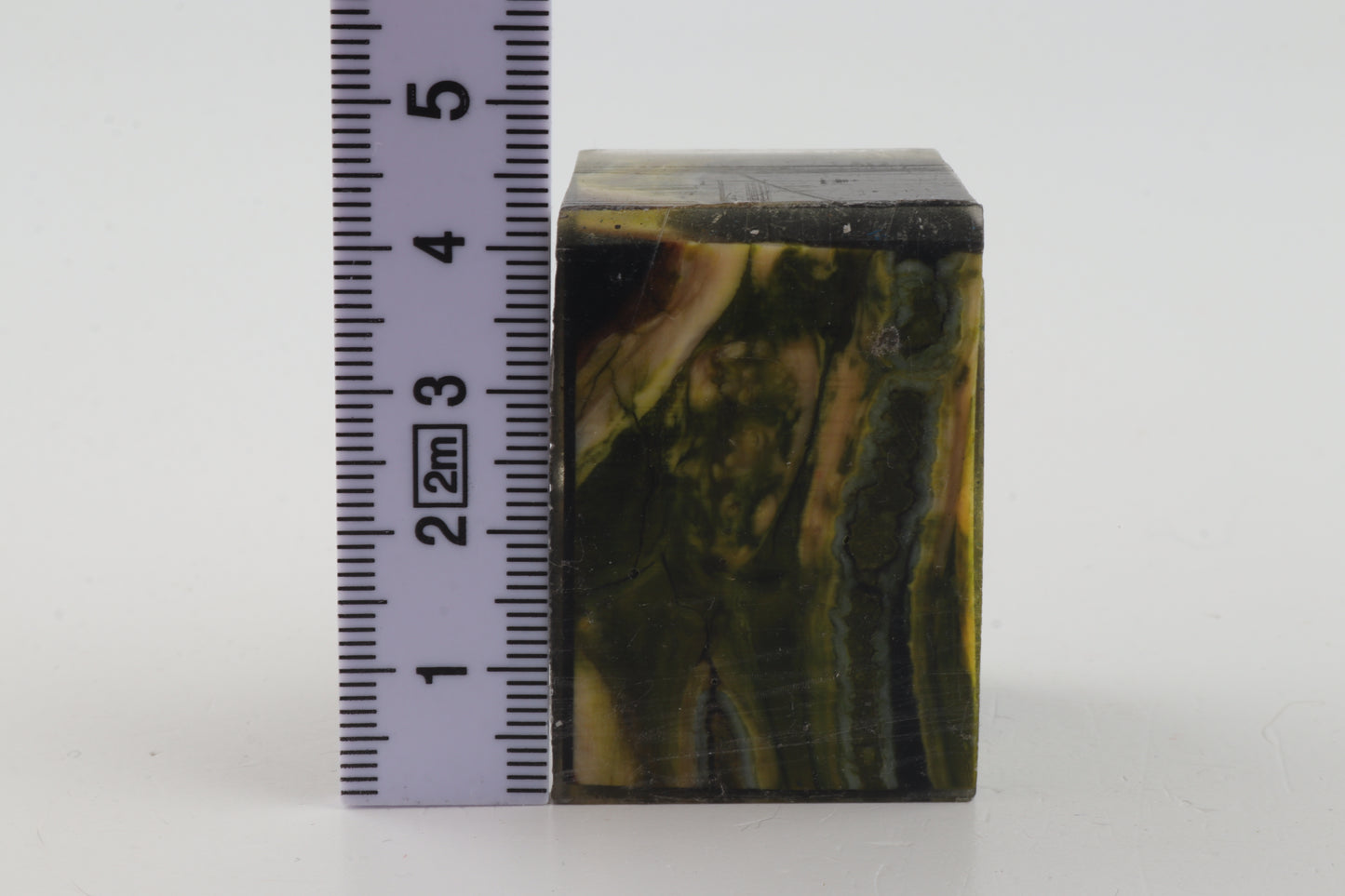 Stabilized mammoth molar piece